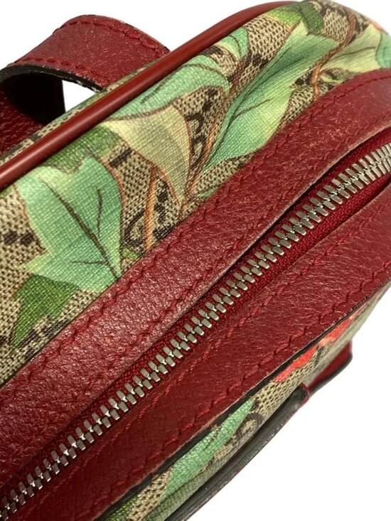 GUCCI GG Supreme Tian Small Back 427042 Bordeaux Beige Multi PVC Leather main image 11